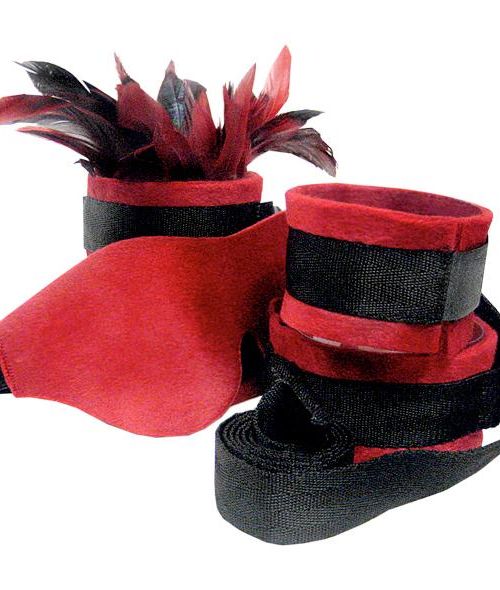 Sportsheets Sexy Slave Kit