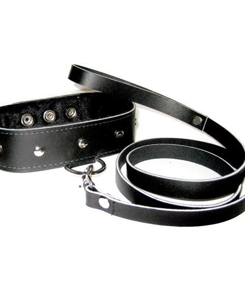 Sportsheets Lederen Halsband Met Riem