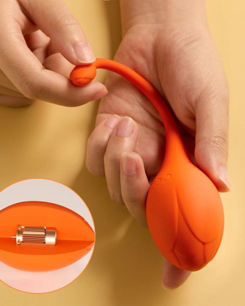 HoneyPlayBox Lili Vibrerend Eitje Met App